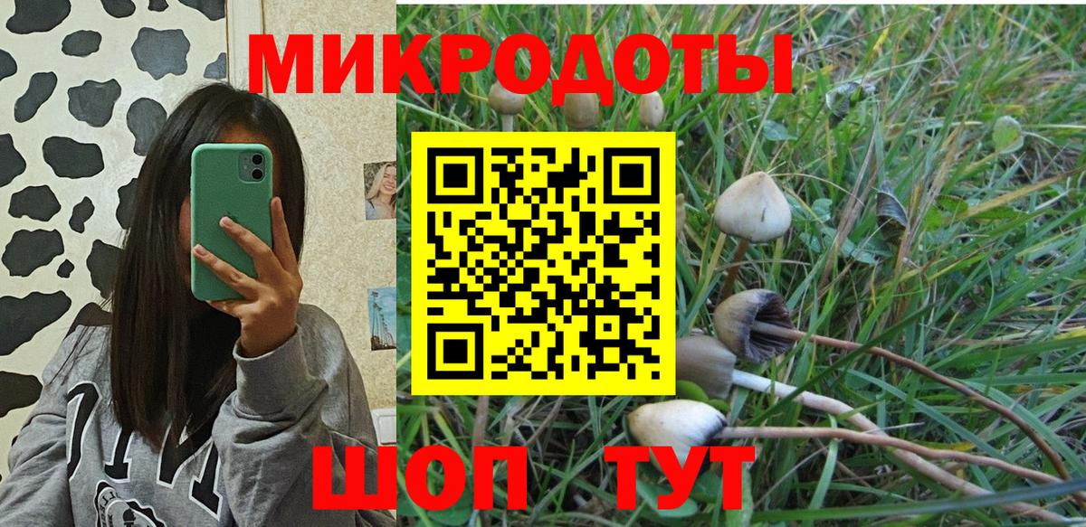 Псилоцибиновые грибы прущие грибы Соль-Илецк