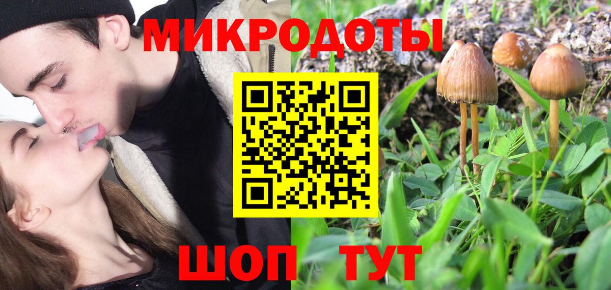 Соль-Илецк  Галлюциногенные грибы прущие грибы  Вход с VPN 